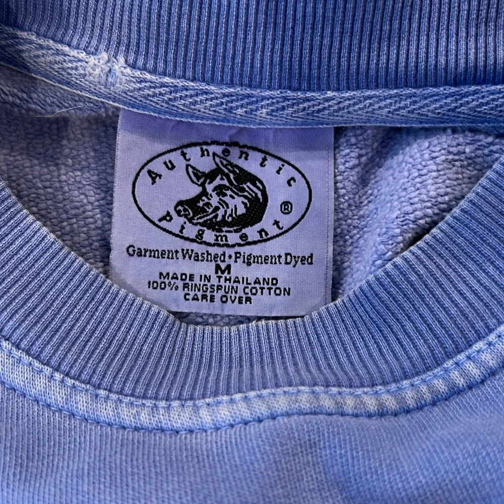 Authentic Pigment Sweatshirt - Picture 4 of 4